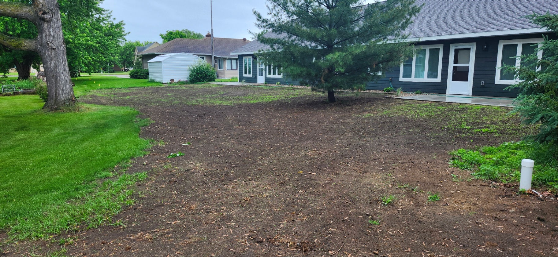 Prepped bare soil ready for hydroseed